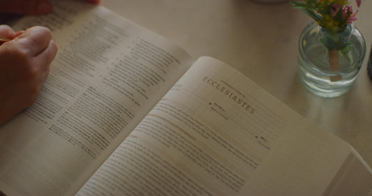 How to Study the Bible: A Beginner’s Guide