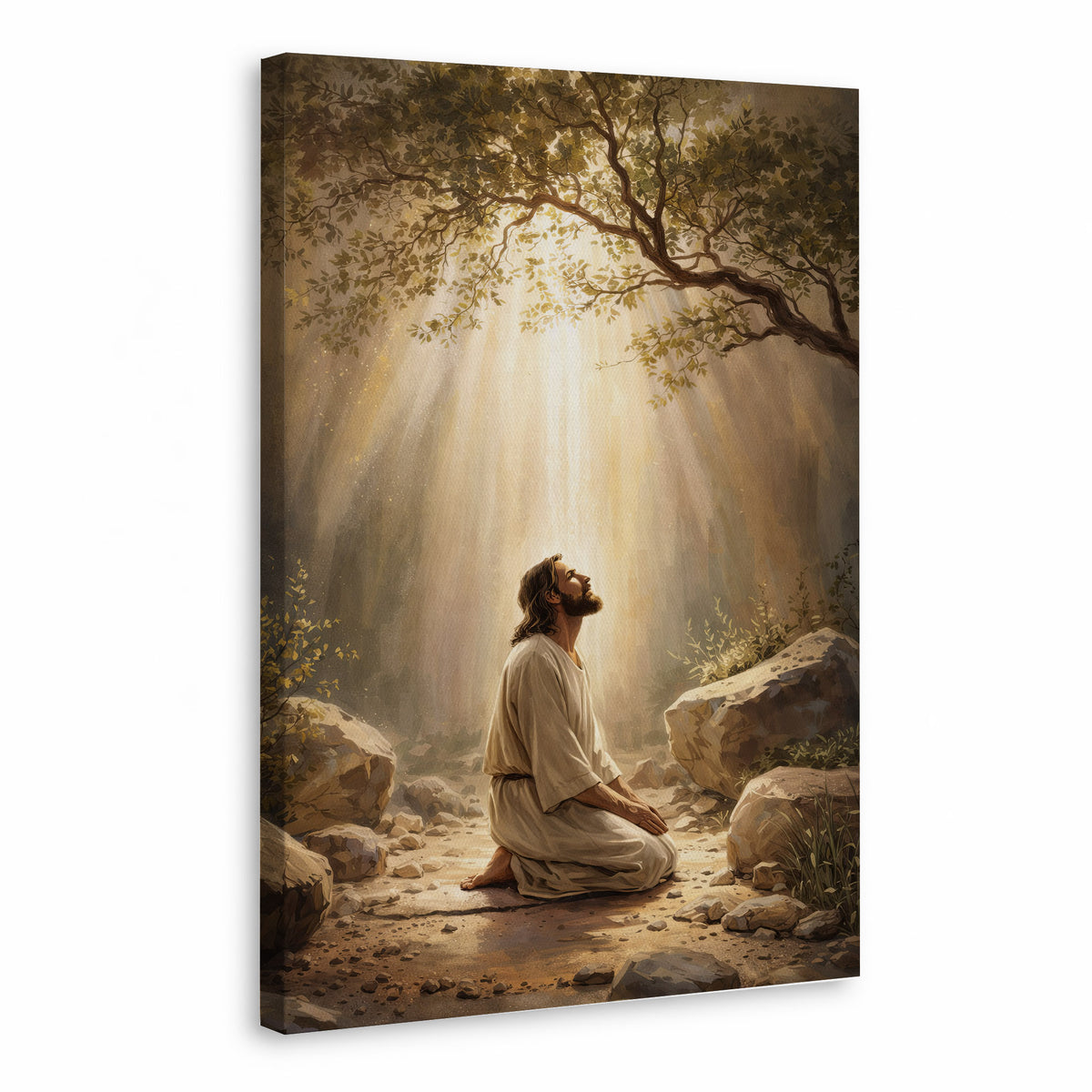Prayer in the Light Poster/Canvas